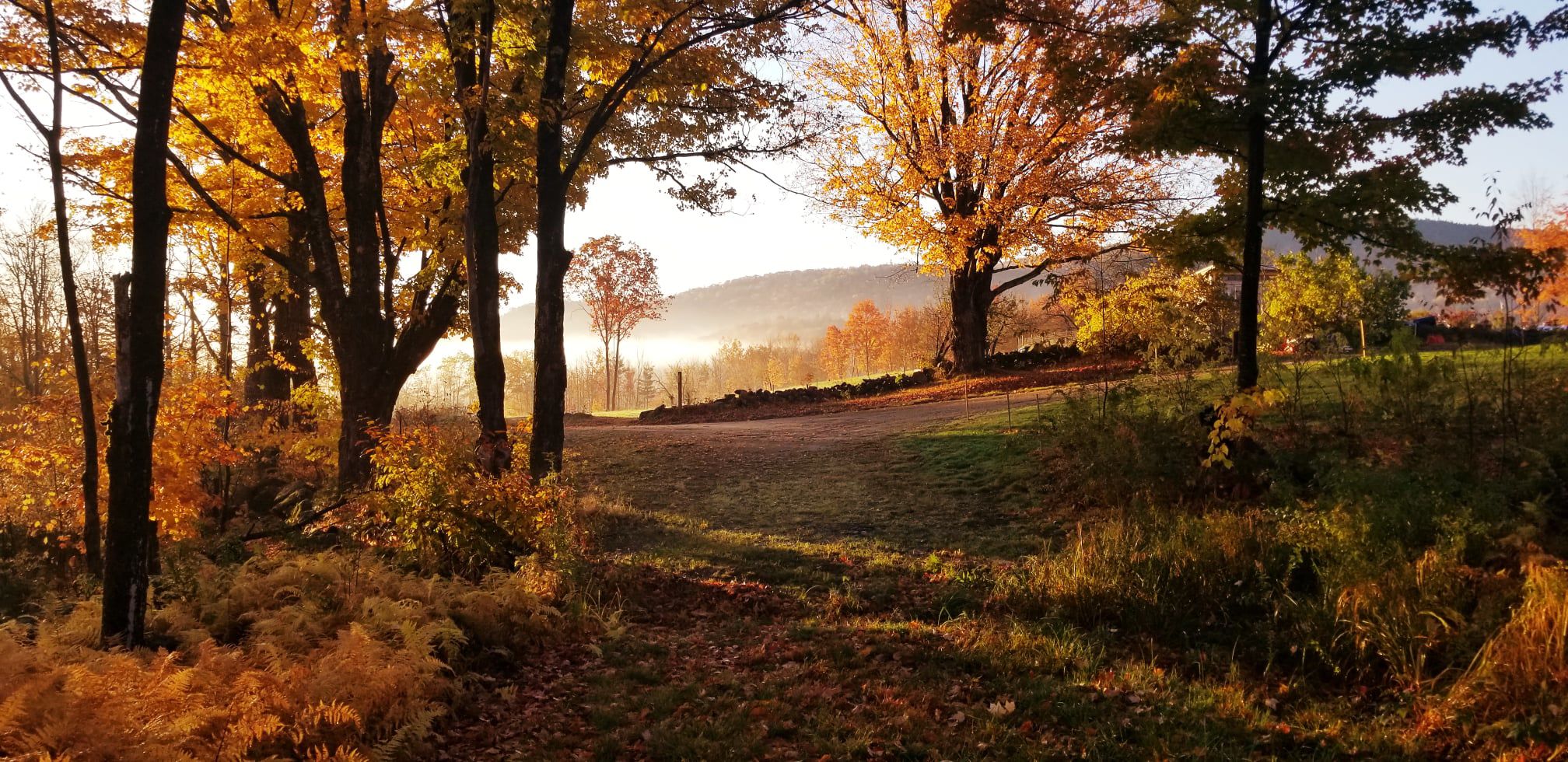 Reader Pics: Nov. 10